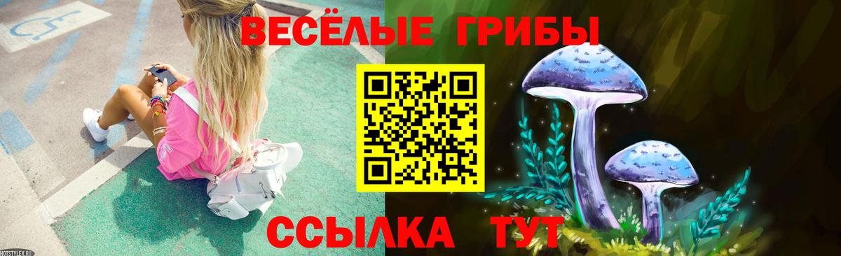 Кимовск  Галлюциногенные грибы MAGIC MUSHROOMS  Вход с VPN 